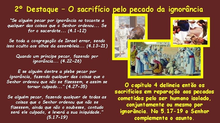 2º Destaque – O sacrifício pelo pecado da ignorância “Se alguém pecar por ignorância