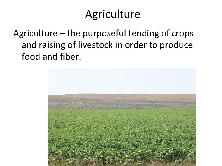 Agriculture – the purposeful tending of crops and raising of livestock in order to