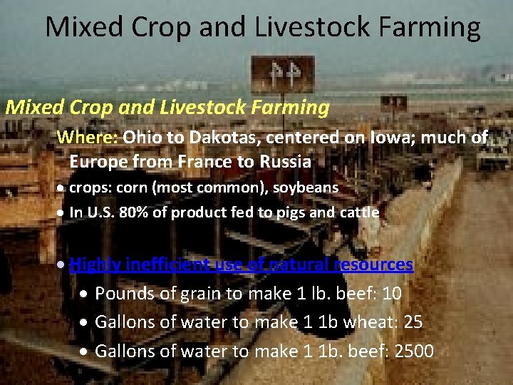 Mixed Crop and Livestock Farming Where: Ohio to Dakotas, centered on Iowa; much of