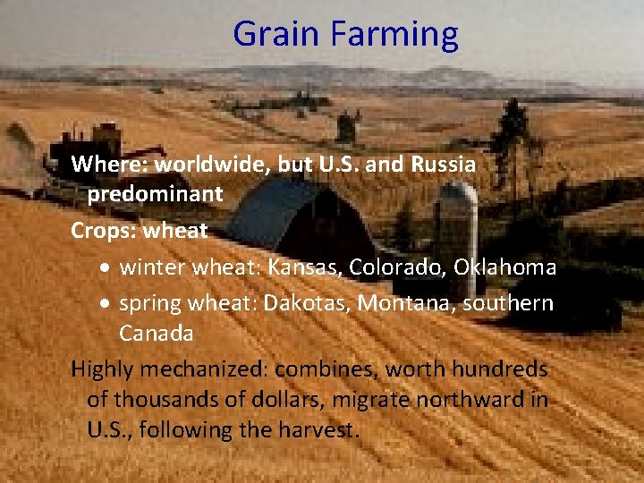 Grain Farming Where: worldwide, but U. S. and Russia predominant Crops: wheat winter wheat: