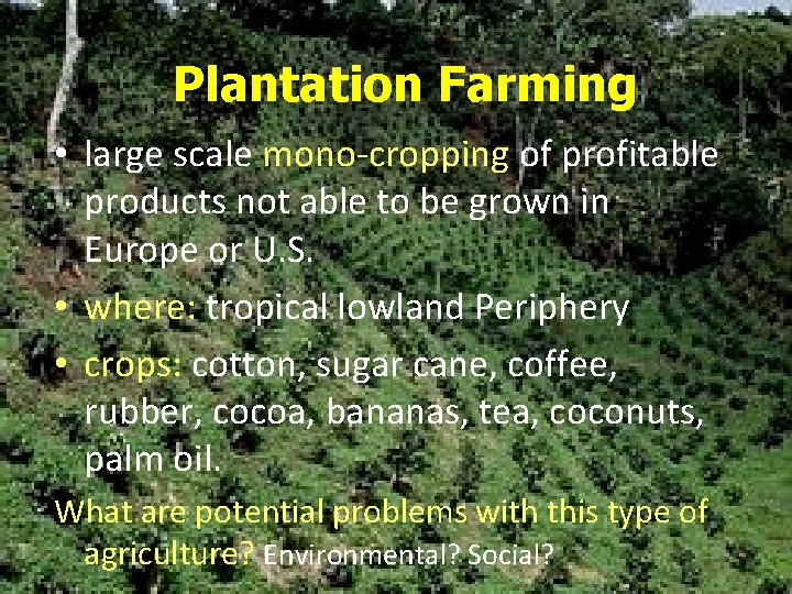 Plantation Farming • large scale mono-cropping of profitable products not able to be grown