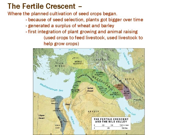 The Fertile Crescent – Where the planned cultivation of seed crops began. - because