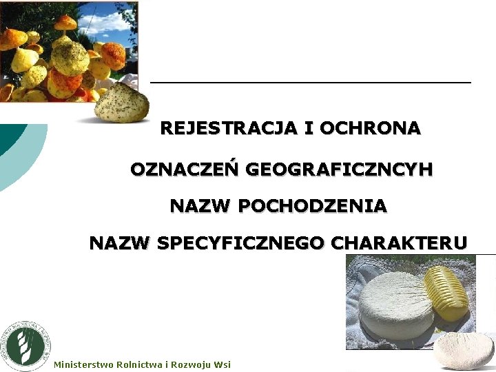 REJESTRACJA I OCHRONA OZNACZEŃ GEOGRAFICZNCYH NAZW POCHODZENIA NAZW SPECYFICZNEGO CHARAKTERU Ministerstwo Rolnictwa i Rozwoju