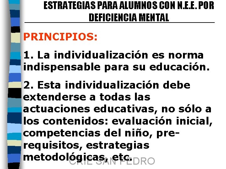 ESTRATEGIAS PARA ALUMNOS CON N. E. E. POR DEFICIENCIA MENTAL PRINCIPIOS: 1. La individualización