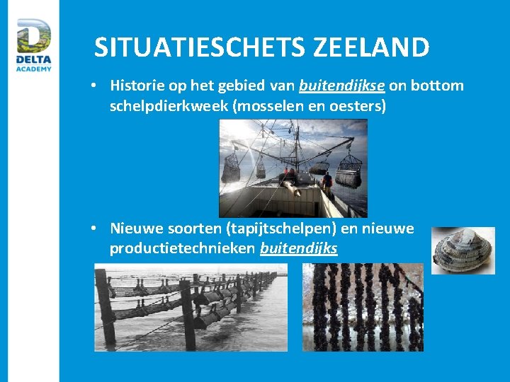 SITUATIESCHETS ZEELAND • Historie op het gebied van buitendijkse on bottom schelpdierkweek (mosselen en