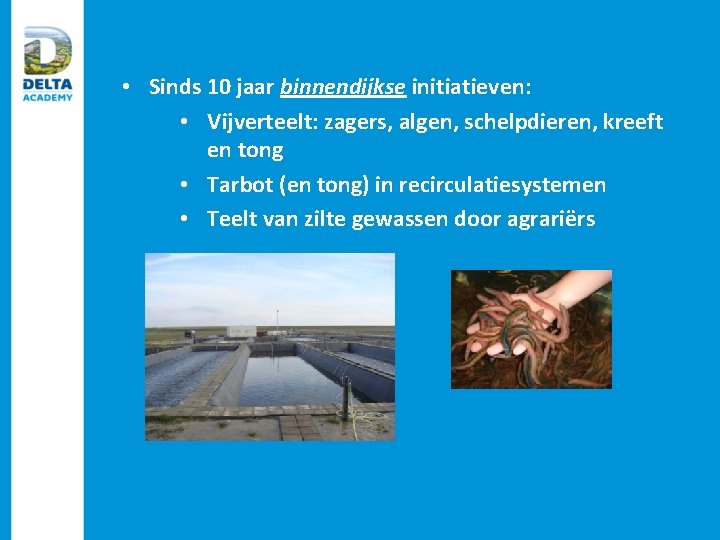  • Sinds 10 jaar binnendijkse initiatieven: • Vijverteelt: zagers, algen, schelpdieren, kreeft en