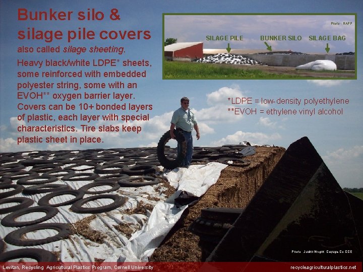 Bunker silo & silage pile covers Photo: RAPP SILAGE PILE BUNKER SILO SILAGE BAG
