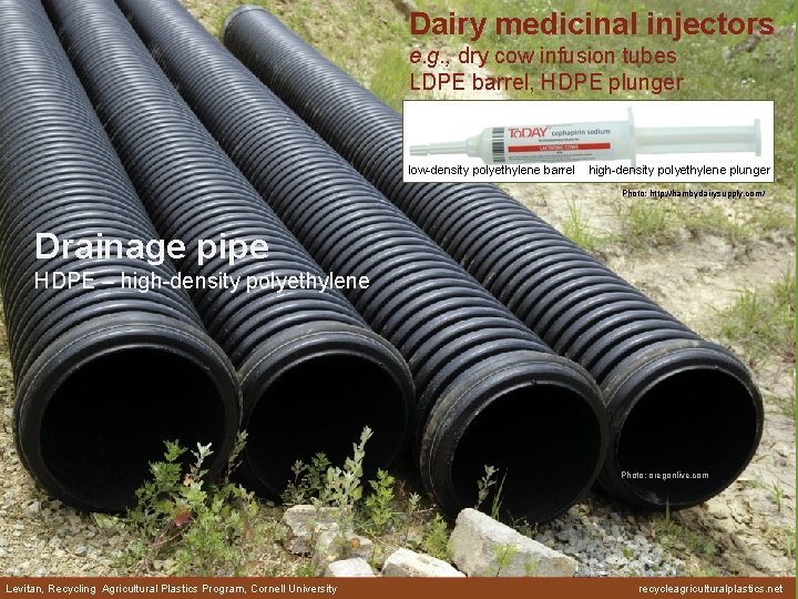 Dairy medicinal injectors e. g. , dry cow infusion tubes LDPE barrel, HDPE plunger