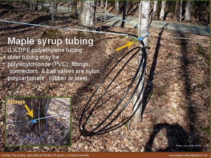 Maple syrup tubing (L)LDPE polyethylene tubing; older tubing may be polyvinylchloride (PVC); fittings, connectors,