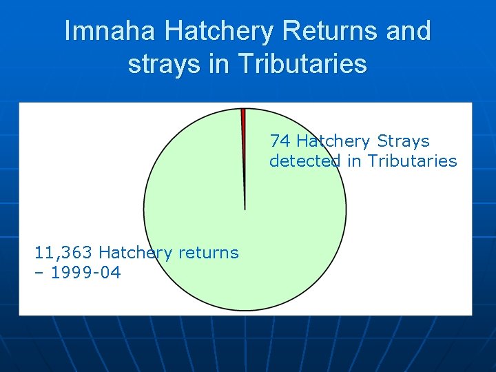Imnaha Hatchery Returns and strays in Tributaries 74 Hatchery Strays detected in Tributaries 11,