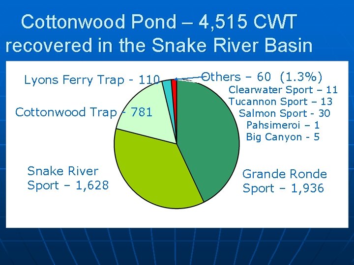 Cottonwood Pond – 4, 515 CWT recovered in the Snake River Basin Lyons Ferry