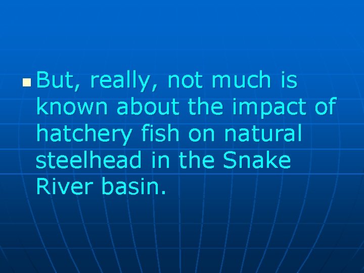 n But, really, not much is known about the impact of hatchery fish on