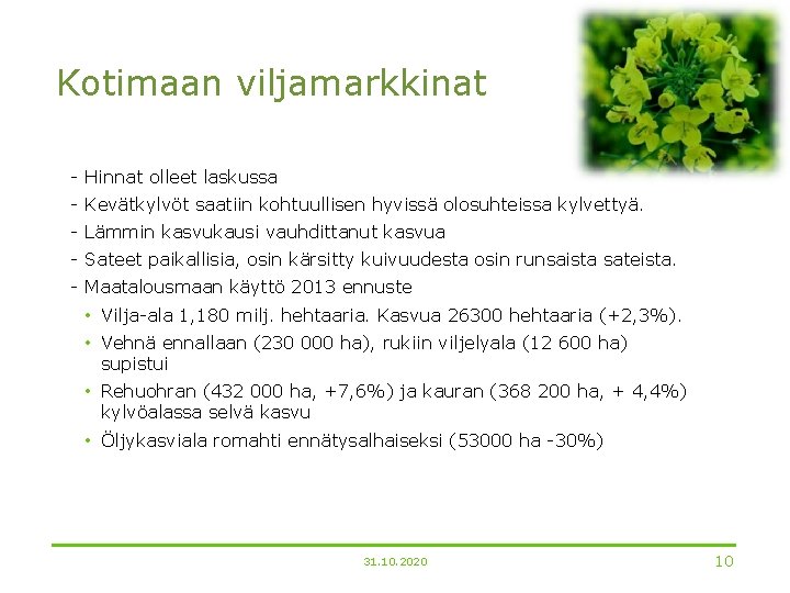 Kotimaan viljamarkkinat - Hinnat olleet laskussa - Kevätkylvöt saatiin kohtuullisen hyvissä olosuhteissa kylvettyä. -