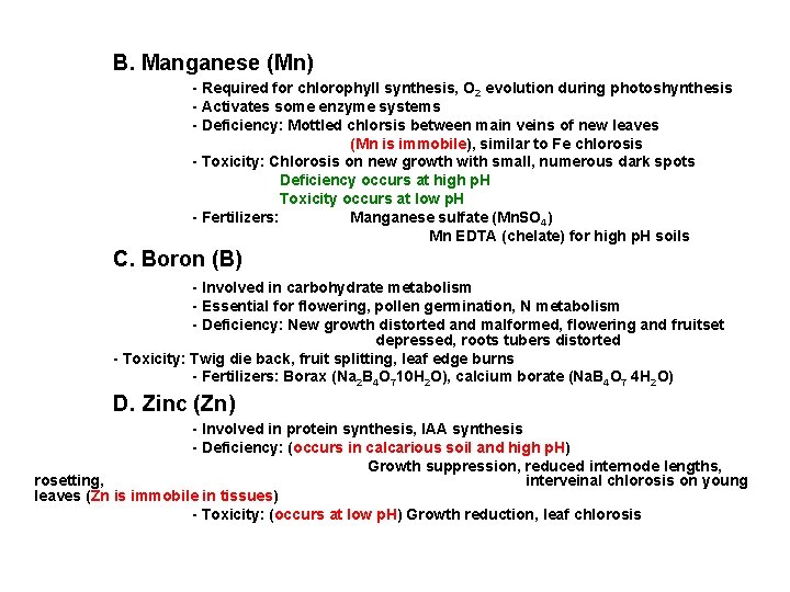B. Manganese (Mn) - Required for chlorophyll synthesis, O 2 evolution during photoshynthesis -