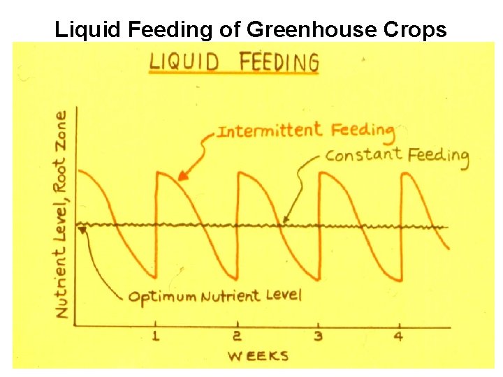 Liquid Feeding of Greenhouse Crops 