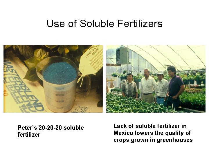 Use of Soluble Fertilizers Peter’s 20 -20 -20 soluble fertilizer Lack of soluble fertilizer