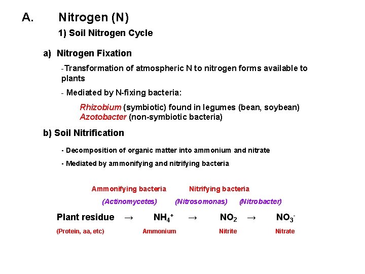 A. Nitrogen (N) 1) Soil Nitrogen Cycle a) Nitrogen Fixation -Transformation of atmospheric N