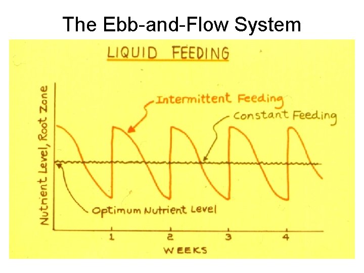 The Ebb-and-Flow System 