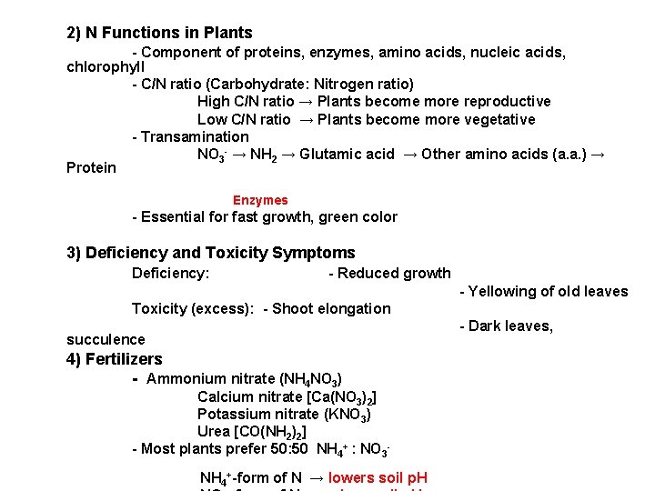 2) N Functions in Plants - Component of proteins, enzymes, amino acids, nucleic acids,