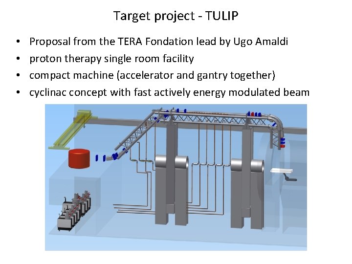 Target project - TULIP • • Proposal from the TERA Fondation lead by Ugo