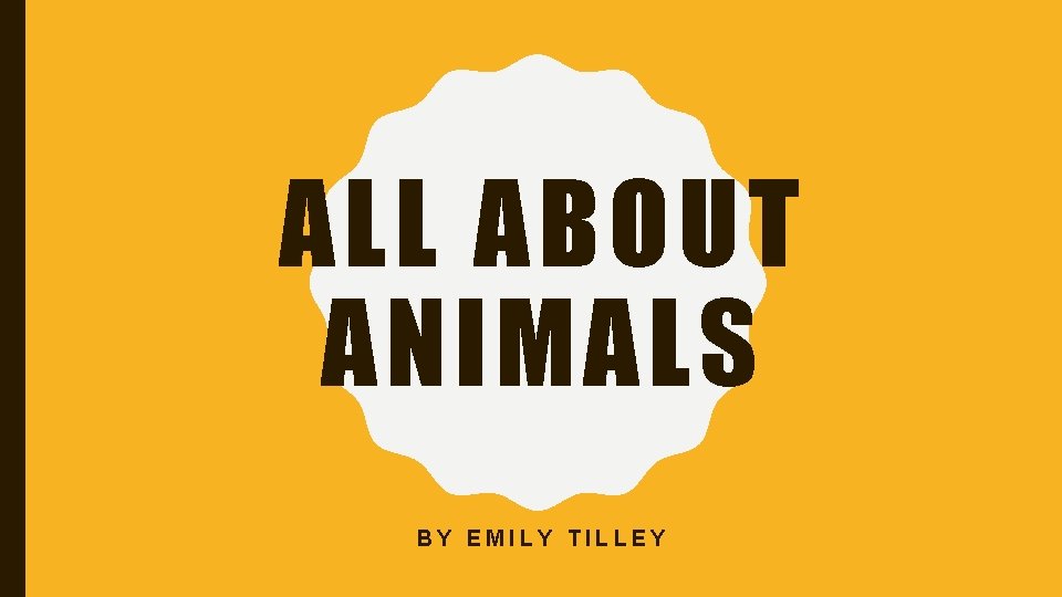 ALL ABOUT ANIMALS BY EMILY TILLEY 