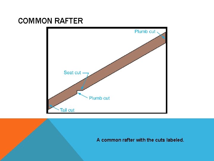 COMMON RAFTER A common rafter with the cuts labeled. 