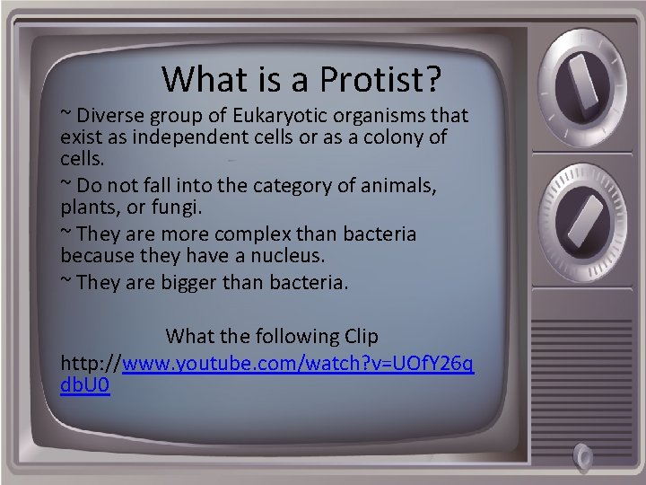 What is a Protist? ~ Diverse group of Eukaryotic organisms that exist as independent