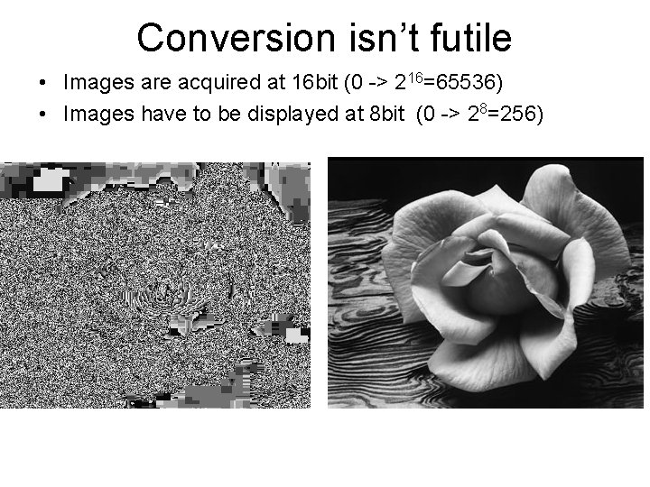 Conversion isn’t futile • Images are acquired at 16 bit (0 -> 216=65536) •