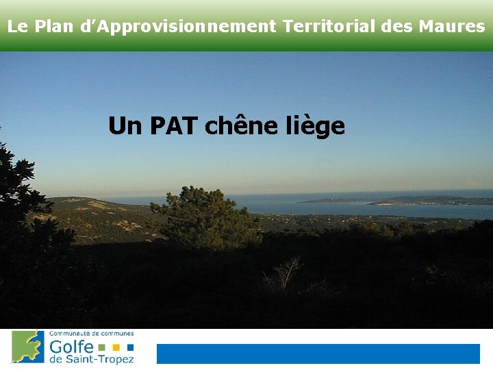 Le Plan d’Approvisionnement Territorial des Maures Un PAT chêne liège 