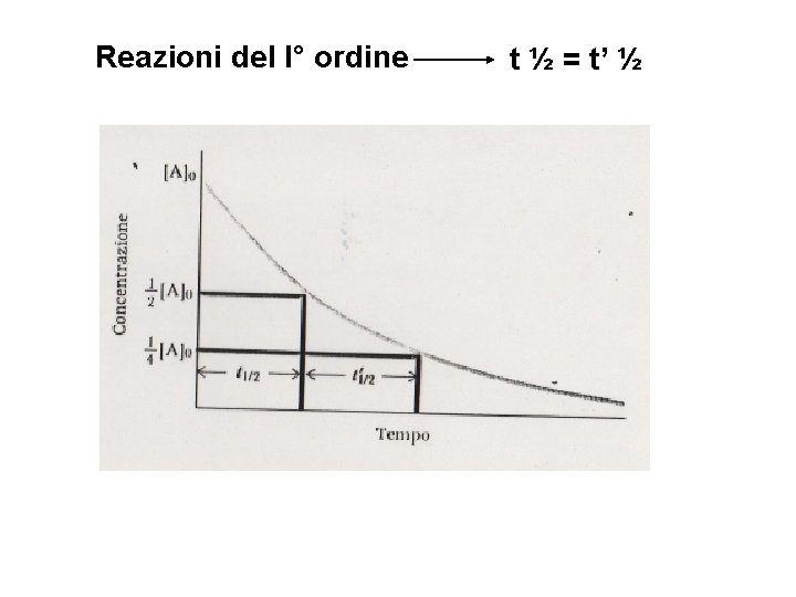 Reazioni del I° ordine t ½ = t’ ½ 