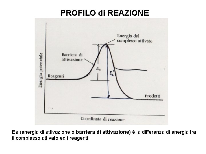 PROFILO di REAZIONE Ea (energia di attivazione o barriera di attivazione) è la differenza