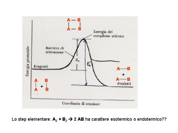 --- A --- B A A A B + B B Lo step elementare: