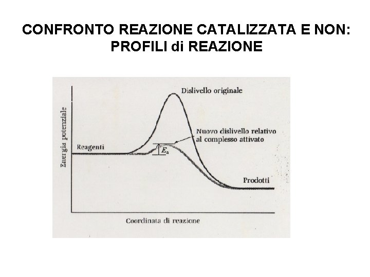 CONFRONTO REAZIONE CATALIZZATA E NON: PROFILI di REAZIONE 