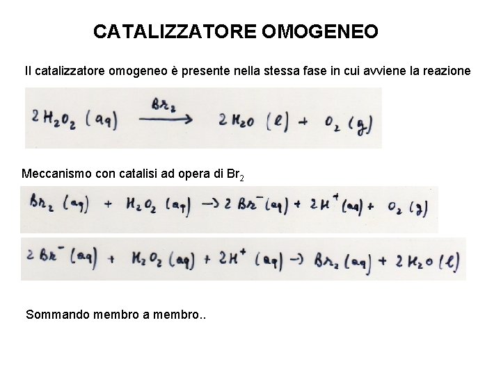CATALIZZATORE OMOGENEO Il catalizzatore omogeneo è presente nella stessa fase in cui avviene la