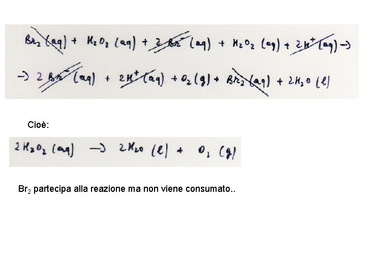 Cioè: Br 2 partecipa alla reazione ma non viene consumato. . 