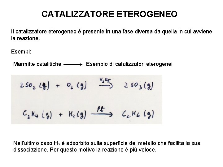 CATALIZZATORE ETEROGENEO Il catalizzatore eterogeneo è presente in una fase diversa da quella in