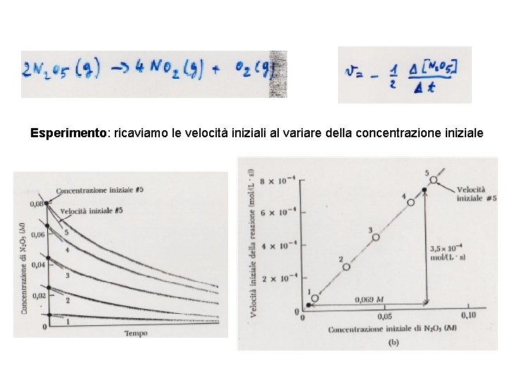 Esperimento: ricaviamo le velocità iniziali al variare della concentrazione iniziale 
