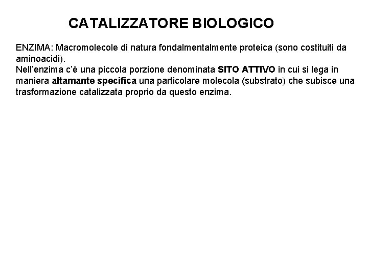 CATALIZZATORE BIOLOGICO ENZIMA: Macromolecole di natura fondalmente proteica (sono costituiti da aminoacidi). Nell’enzima c’è