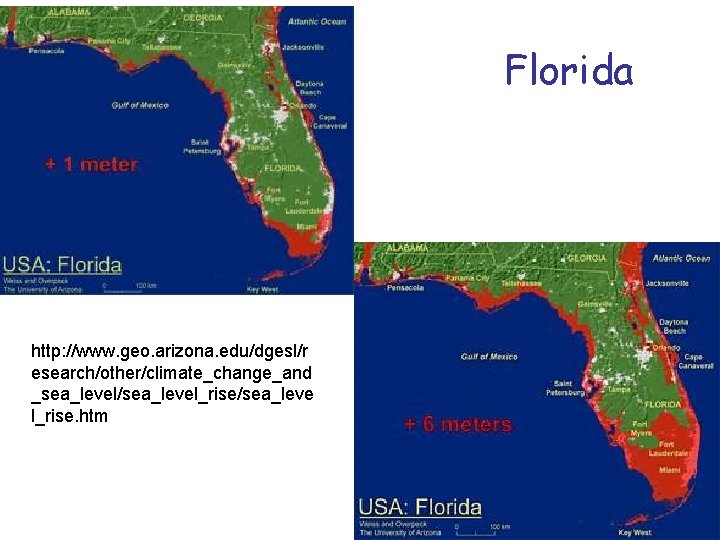 Florida http: //www. geo. arizona. edu/dgesl/r esearch/other/climate_change_and _sea_level/sea_level_rise/sea_leve l_rise. htm 