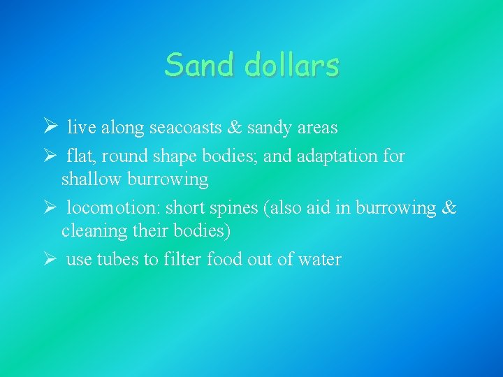 Sand dollars Ø live along seacoasts & sandy areas Ø flat, round shape bodies;