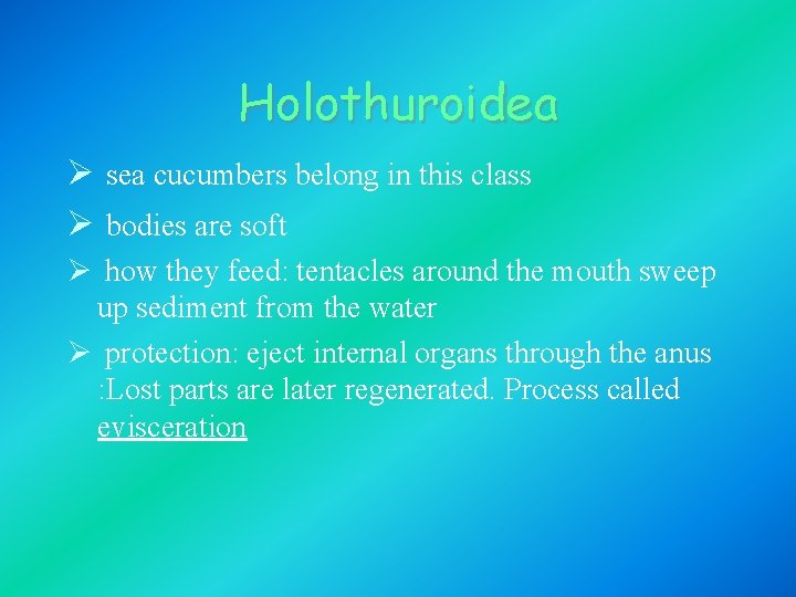 Holothuroidea Ø sea cucumbers belong in this class Ø bodies are soft Ø how