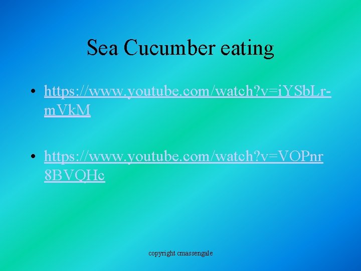 Sea Cucumber eating • https: //www. youtube. com/watch? v=i. YSb. Lrm. Vk. M •
