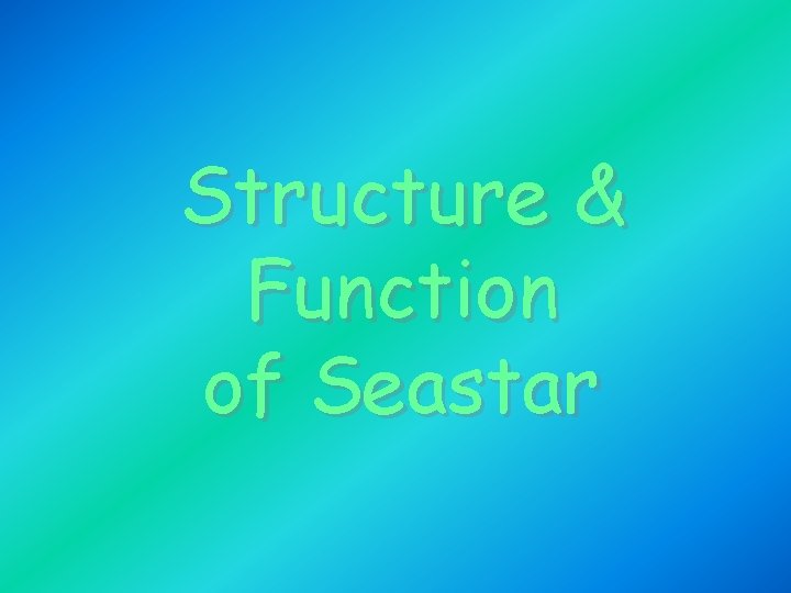 Structure & Function of Seastar 
