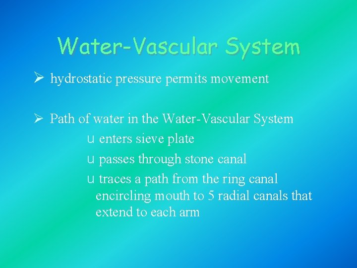 Water-Vascular System Ø hydrostatic pressure permits movement Ø Path of water in the Water-Vascular