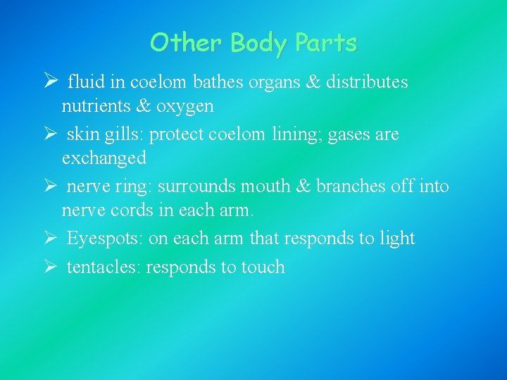 Other Body Parts Ø fluid in coelom bathes organs & distributes nutrients & oxygen