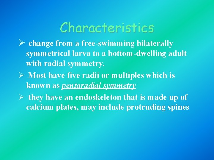 Characteristics Ø change from a free-swimming bilaterally symmetrical larva to a bottom-dwelling adult with