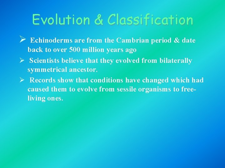 Evolution & Classification Ø Echinoderms are from the Cambrian period & date back to