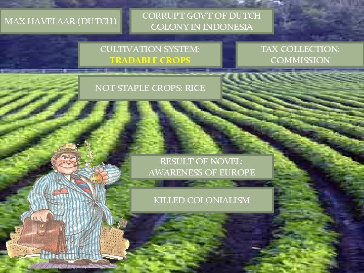 MAX HAVELAAR (DUTCH) CORRUPT GOVT OF DUTCH COLONY IN INDONESIA CULTIVATION SYSTEM: TRADABLE CROPS