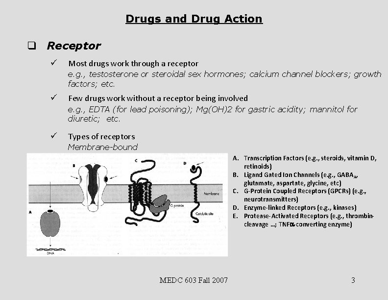 Drugs and Drug Action q Receptor ü Most drugs work through a receptor e.