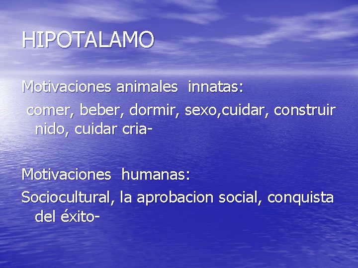 HIPOTALAMO Motivaciones animales innatas: comer, beber, dormir, sexo, cuidar, construir nido, cuidar cria. Motivaciones HIPOTALAMO Motivaciones animales innatas: comer, beber, dormir, sexo, cuidar, construir nido, cuidar cria. Motivaciones